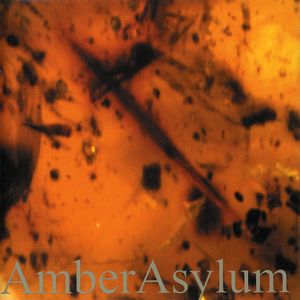 Frozen in Amber , Amber Asylum