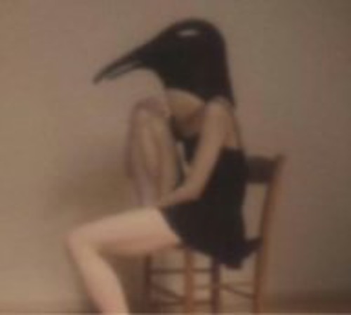Penguin Cafe Orchestra