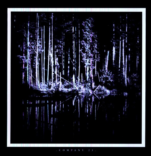 Matt Chamberlain/Company 23 - Company 23 [Indy Only] [Limited Edition]