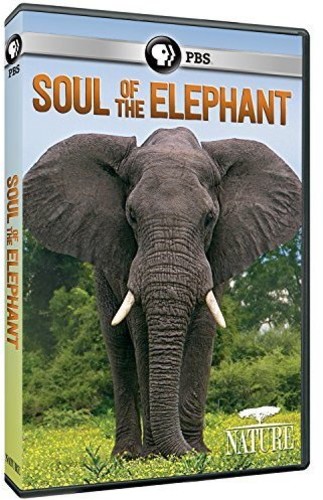 Nature: Soul of the Elephant