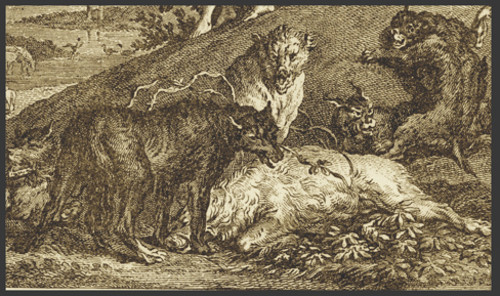 Relief