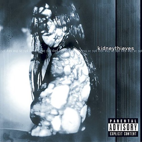 Kidneythieves - Phi in the Sky