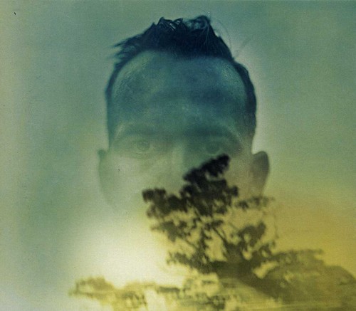 Rabbit Runs a Destiny