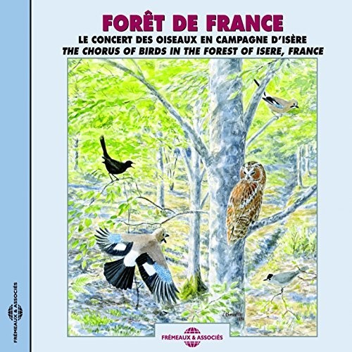 Chorus of Birds Isere, France