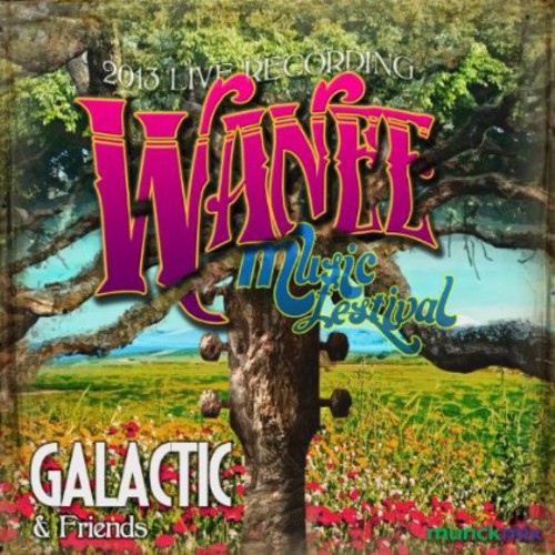 Galactic - Live from Wanee 2013