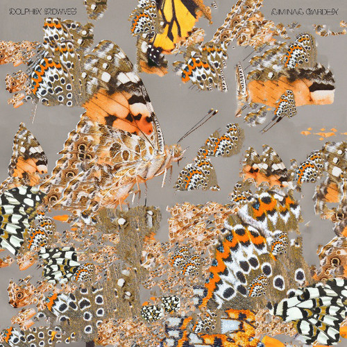 Liminal Garden
