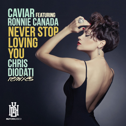 NEVER STOP LOVING YOU (CHRIS DIODATI REMIXES)