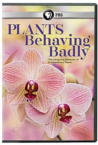 Plants Behaving Badly