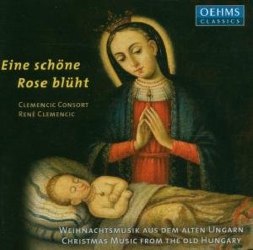 Eine Schone Rose Bluht