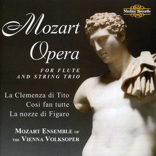Opera for Flute & Steing Trio