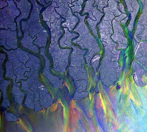 Alt-J - Awesome Wave [Import]