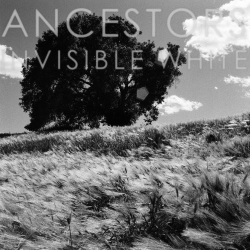 INVISIBLE WHITE