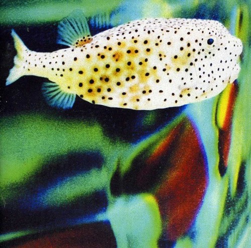 Silent Planet [Import]