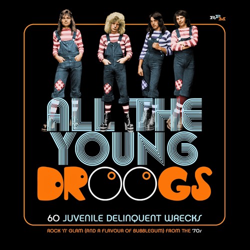 All The Young Droogs: 60 Juvenile Delinquent Wrecks /  Various [Import]