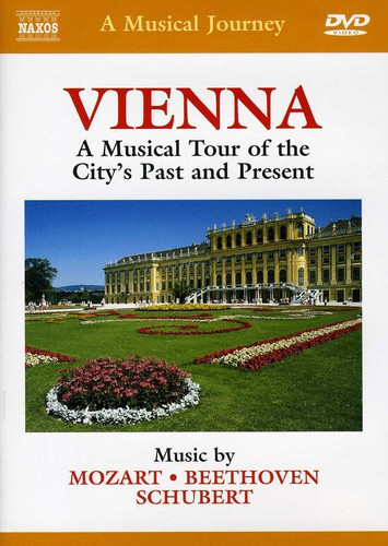 Musical Journey: Vienna Musical Tour City's Past