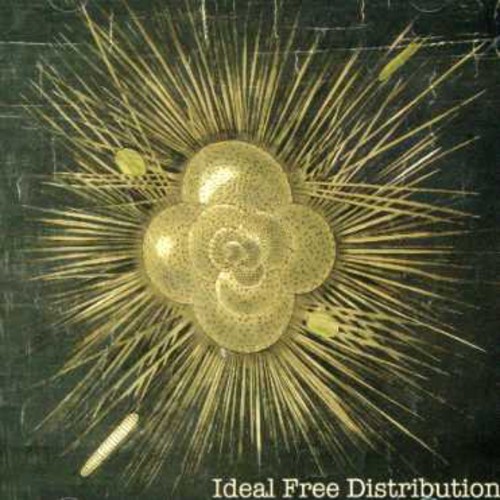 Ideal Free Distribution