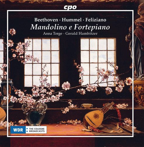Mandolino E Fortepiano