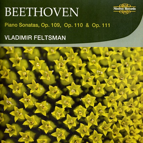 Piano Sonatas Op 109 110 111