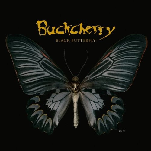 Black Butterfly [Import]