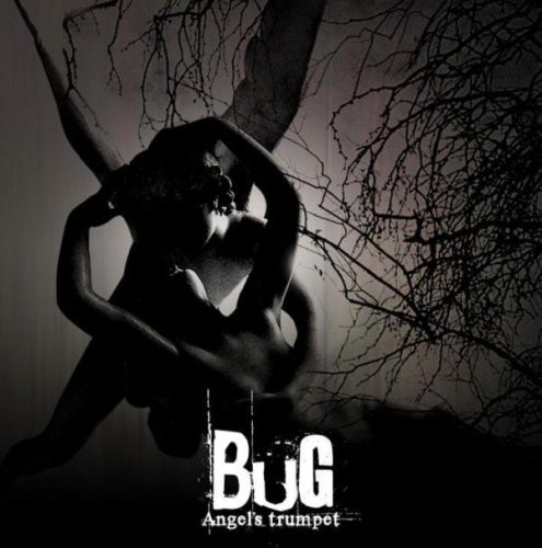 Bug [Import]