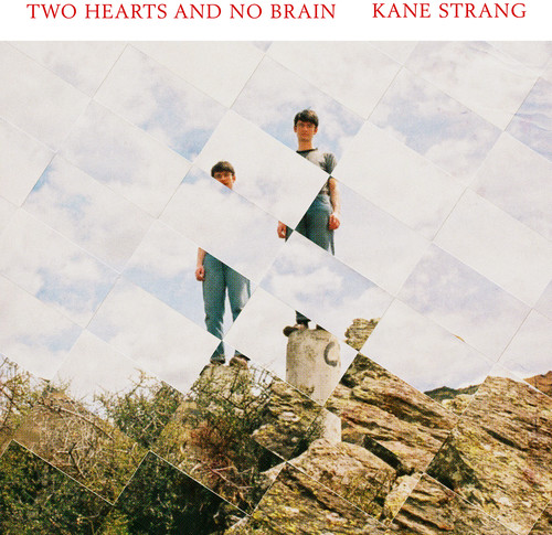 Two Hearts And Brain