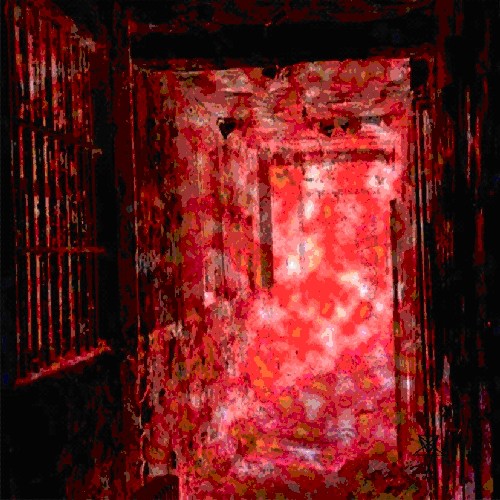 Asylum