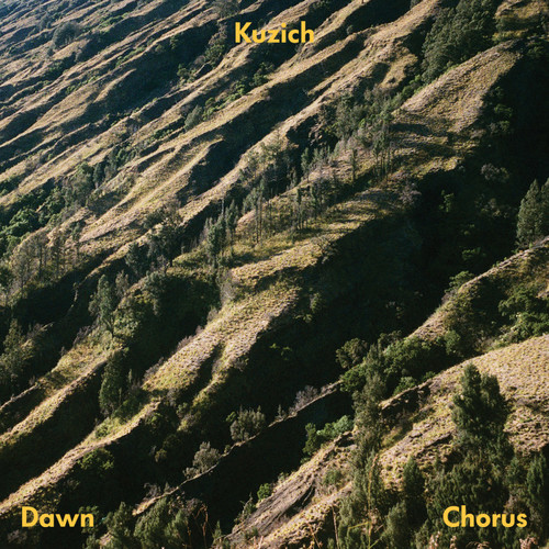 DAWN CHORUS