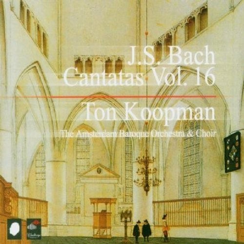 V16: Complete Canatas