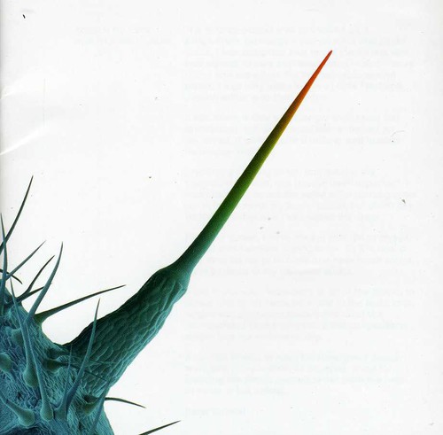 And I'll Scratch Yours