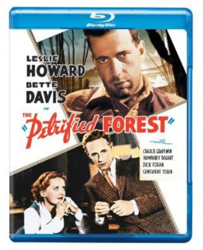 The Petrified Forest