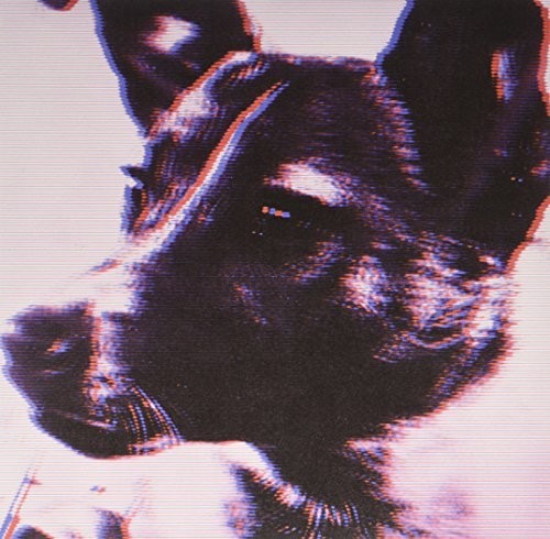 Laika
