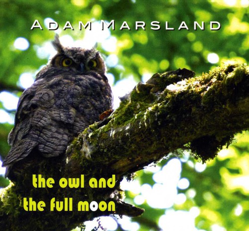 The Owl and The Full Moon