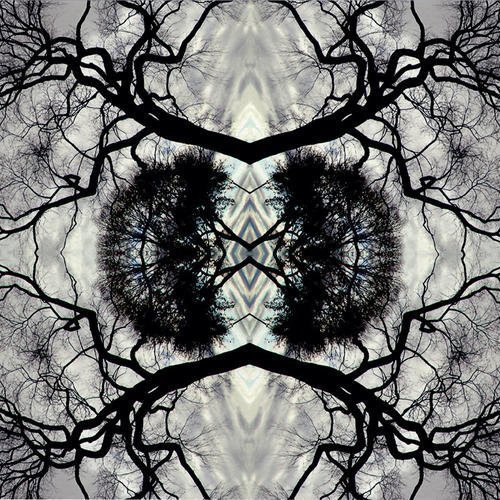 Sonic Mandala Go: Organic Orchestra