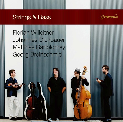 STRINGS & BASS
