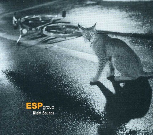 Night Sounds