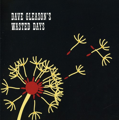 Dave Gleason - Dave Gleason's Wasted Days