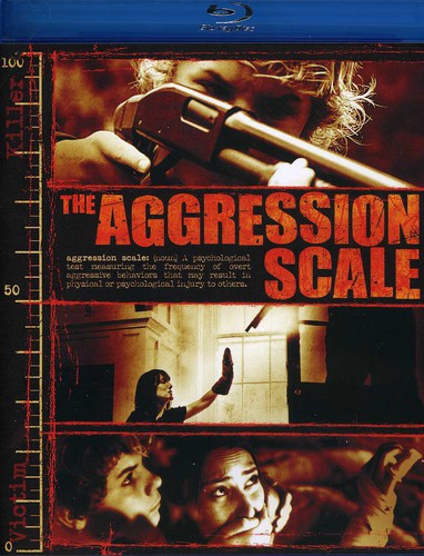 The Aggression Scale