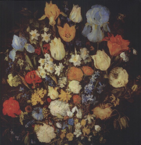 Navigated Like the Swan