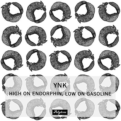 High On Endorphin Low On Gasoline