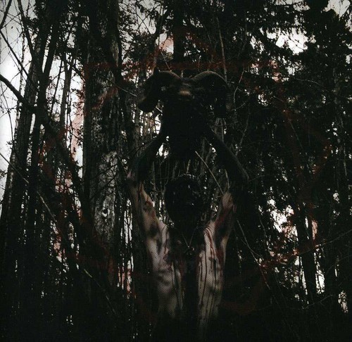 I Guilt Bearer