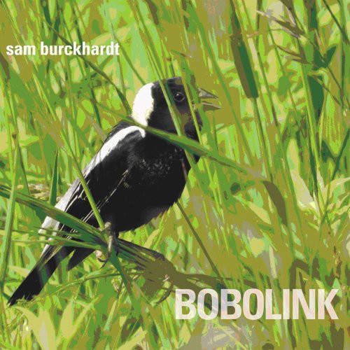 Sam Burckhardt - Bobolink