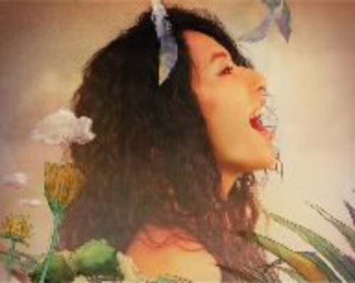 My Amber Soul [Import]