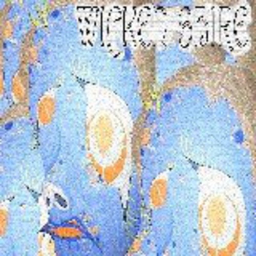 Aguardando imagem do produto