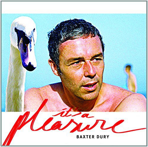 Baxter Dury - It's A Pleasure [Vinyl]