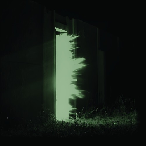 Fink - Horizontalism [LP]