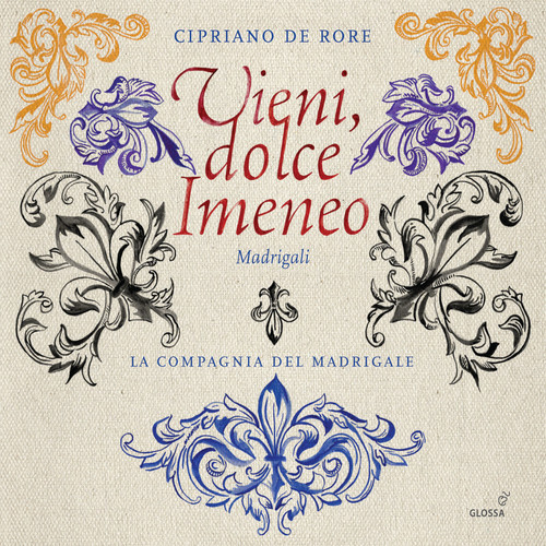VIENI DOLCE IMENEO