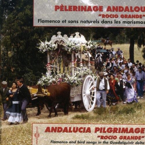 Various Artists - Rocio Grande