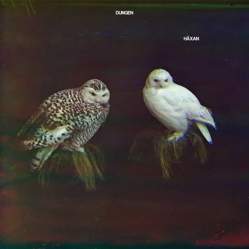 Dungen - Haxan