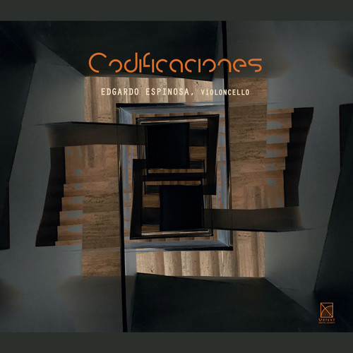 Codificaciones
