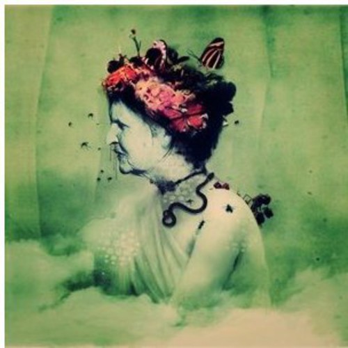 Empress Rising